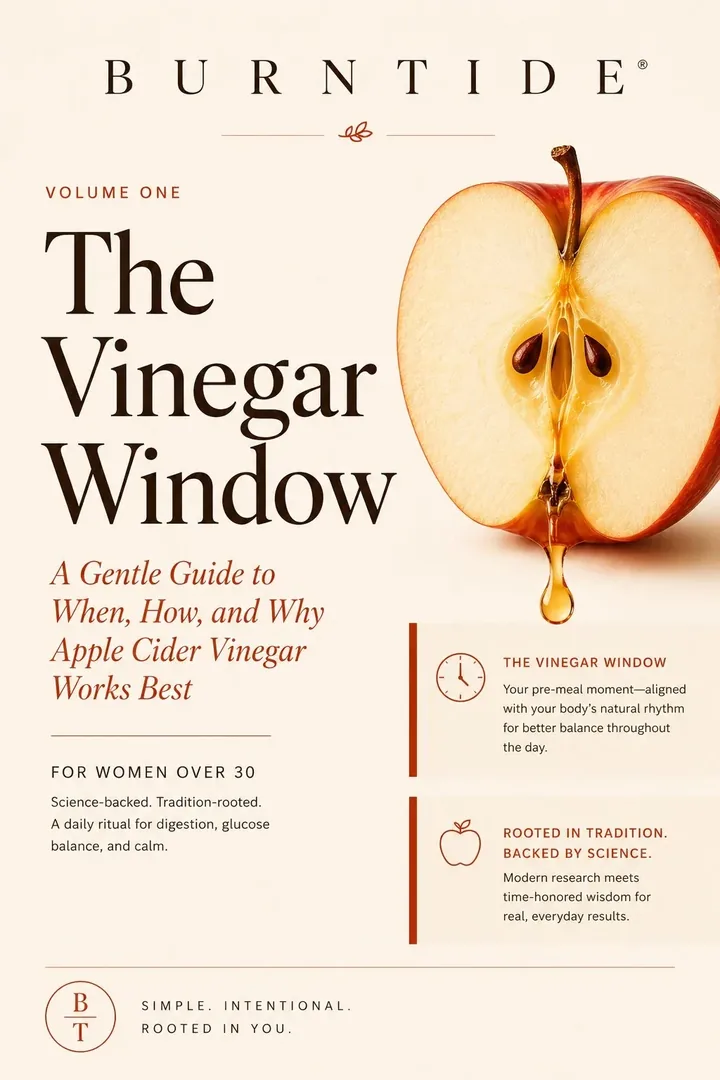 Cover of The Vinegar Window, bonus guide volume one