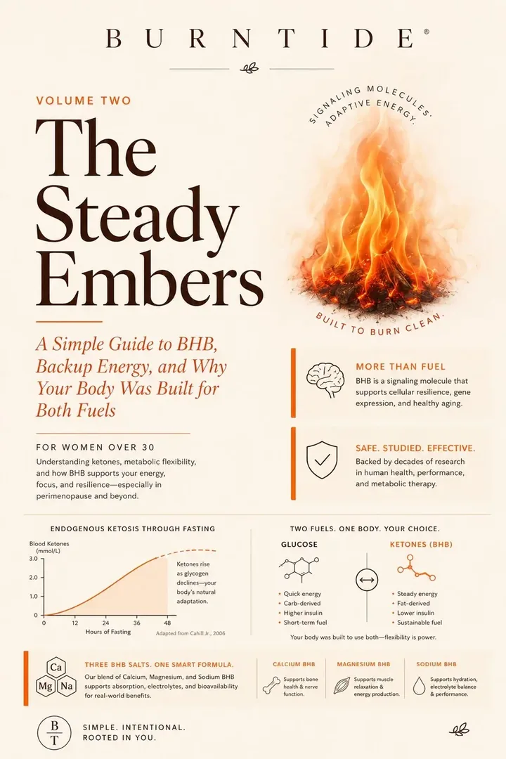 Cover of The Steady Embers, bonus guide volume two
