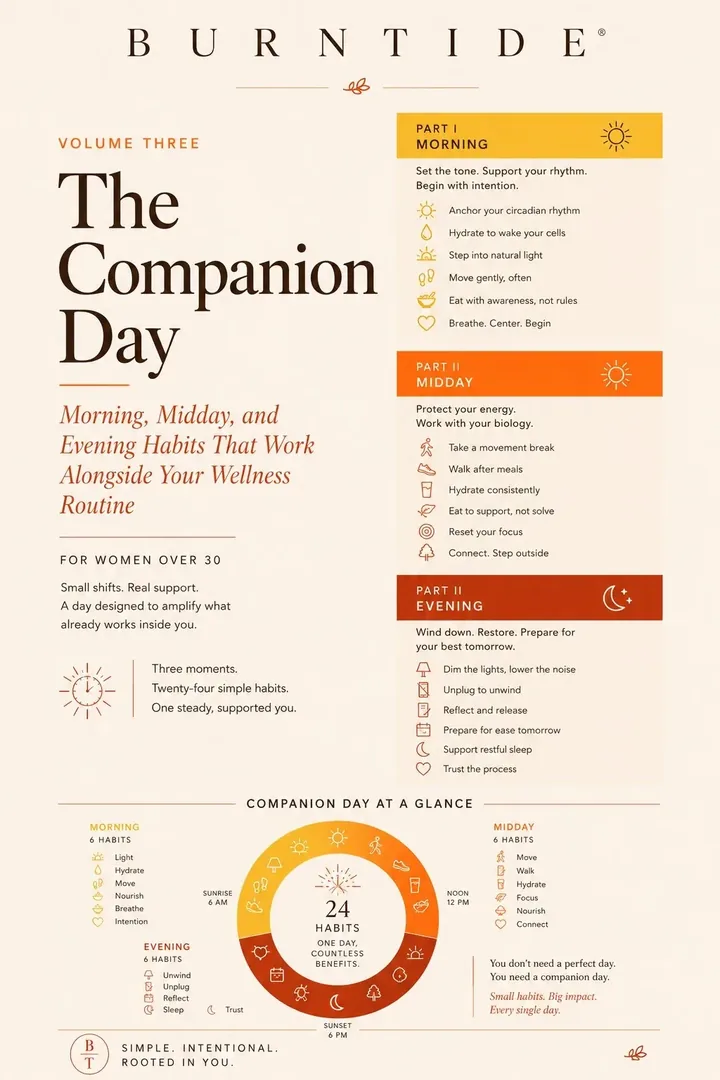 Cover of The Companion Day, bonus guide volume three